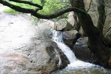 پانسیون Leaves Lodge And Spa