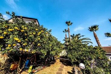 The May Of Jeju House Pension