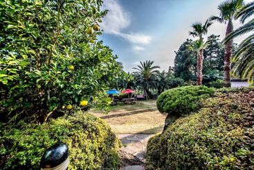 The May Of Jeju House Pension