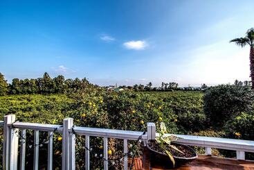 The May Of Jeju House Pension