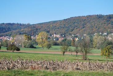 تختخواب و صبحانه Chambres D'hôtes Les Vignes