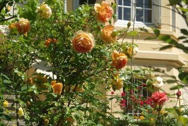 تختخواب و صبحانه Villa Roassieux