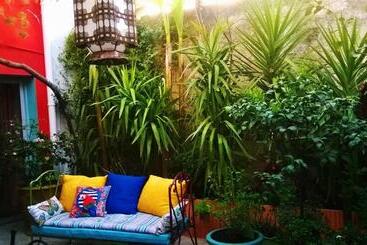تختخواب و صبحانه Studio Accueillant Pour 2, Wifi Et Climatisation