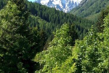 تختخواب و صبحانه The Guest House