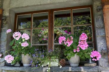 تختخواب و صبحانه The Guest House
