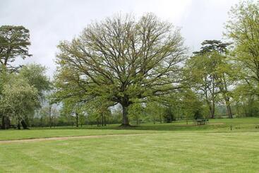 تختخواب و صبحانه Chateau Du Four De Vaux