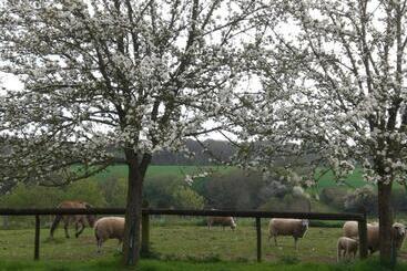تختخواب و صبحانه La Grange De Coatélan