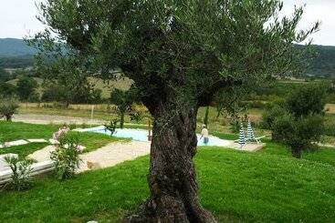 تختخواب و صبحانه Relais De L Alsou
