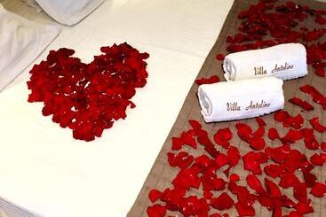 تختخواب و صبحانه Villa Antoline