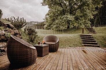هتل Alpe Dornach