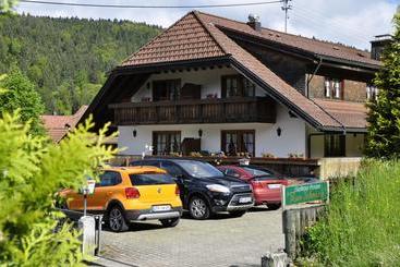 Отель Pension Gasthaus Zur Schmiede