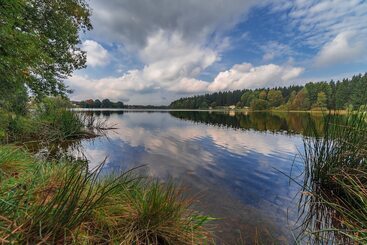 فندق Waldsee Feriendienst  Ferienpark Am Waldsee