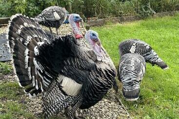 Gratton Grange Farm B&b