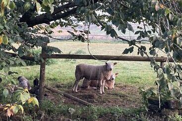 Gratton Grange Farm B&b