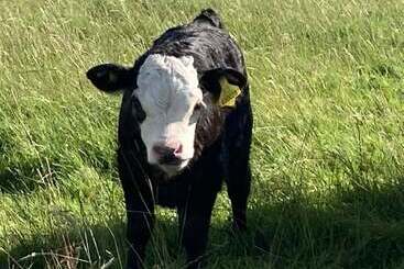 Gratton Grange Farm B&b