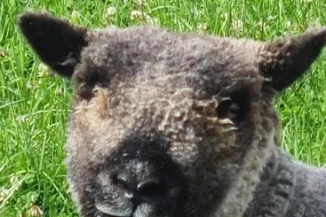 Gratton Grange Farm B&b