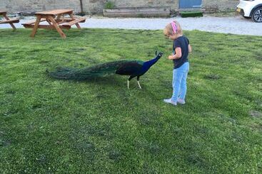Gratton Grange Farm B&b