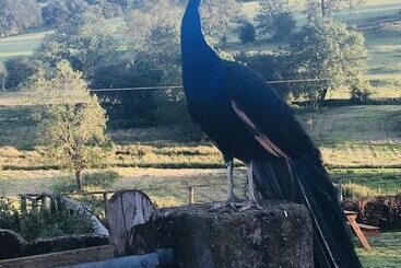 Gratton Grange Farm B&b