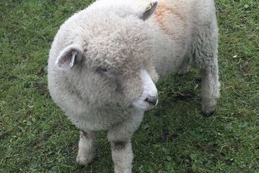 Gratton Grange Farm B&b