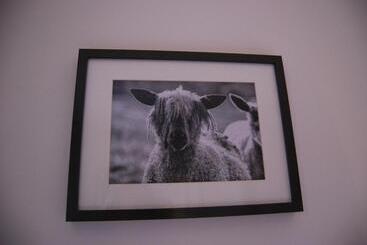 Hare & Hounds Bed & Breakfast