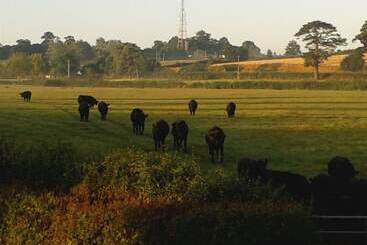 تختخواب و صبحانه Courtbrook Farm