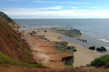 تختخواب و صبحانه Courtbrook Farm