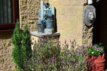 Castle Green Bed And Breakfast
