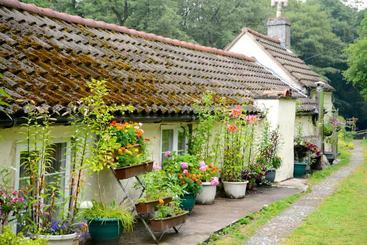 Ladywood House Bed And Breakfast