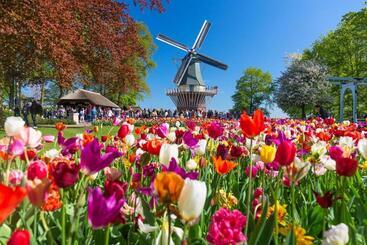 هتل Ibis Styles Amsterdam Airport