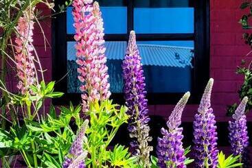 تختخواب و صبحانه Lago Argentino Hostel