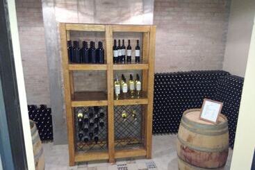 هتل Posada Cavieres Wine Farm