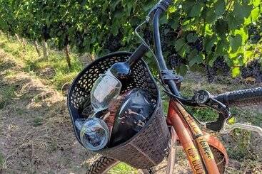 هتل Posada Cavieres Wine Farm