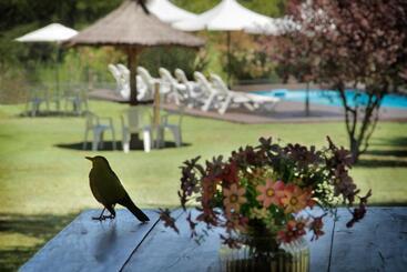 Posada De Campo   Hotel Boutique   Adults Only