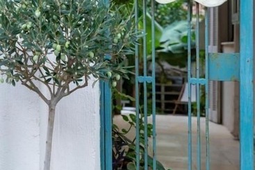 Lemon Garden Residence