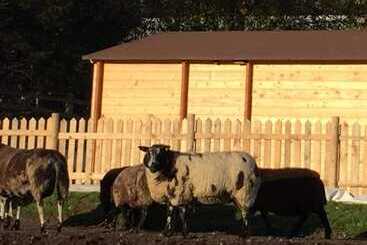 Cosy 1 Bed Farm Stay Cabin