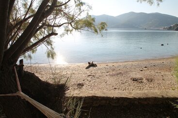 هتل Maeiz Skopelos