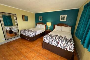 Отель Royal Inn