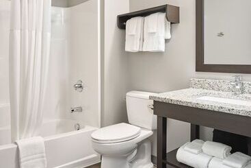 Stayapt Suites College Station
