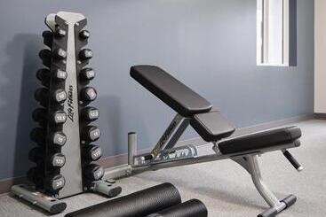 Stayapt Suites College Station