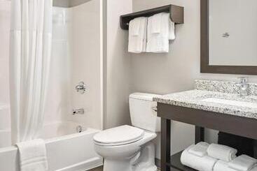 Stayapt Suites College Station