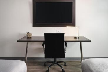 Stayapt Suites College Station