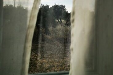 Quinta Do Louredo   évora - Alentejo
