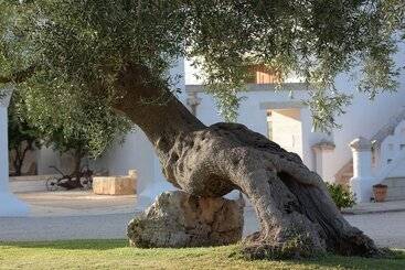 هتل Agriturismo Masseria De Michele