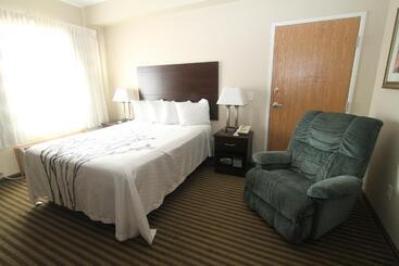 酒店 Bowman Inn And Suites