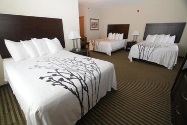 酒店 Bowman Inn And Suites