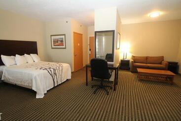 酒店 Bowman Inn And Suites