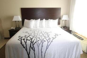 酒店 Bowman Inn And Suites