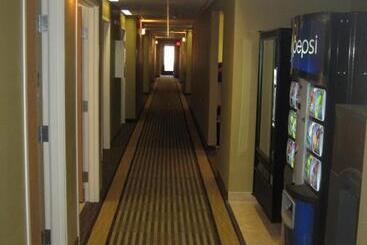 酒店 Bowman Inn And Suites