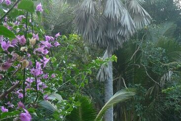 هتل Le Jardin Maore