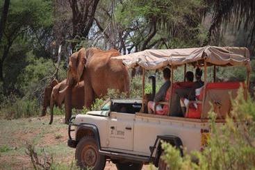 هتل Saruni Samburu